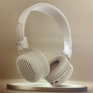 Head Phones